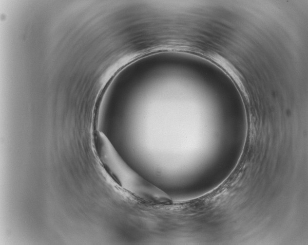 X0000087390861200704201240