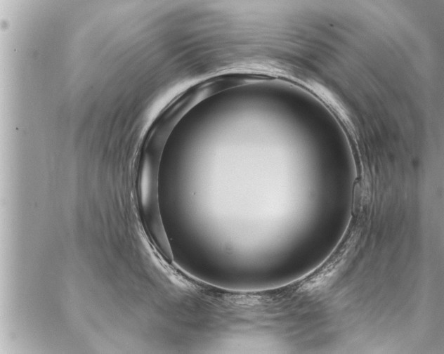 X0000087390862200704201240