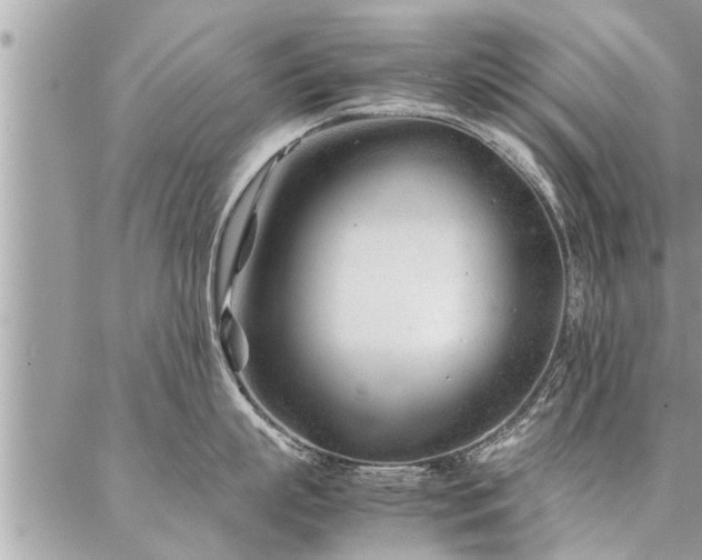 X0000087390863200704201240