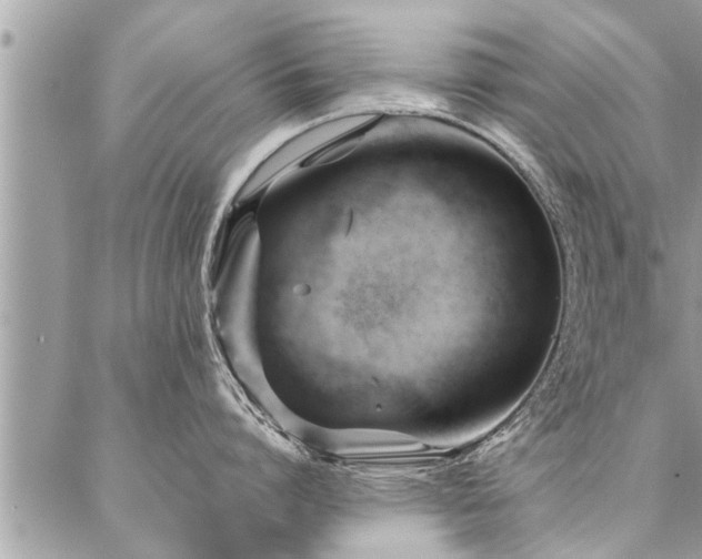 X0000087390864200704201241