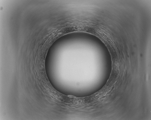 X0000087390865200704201240