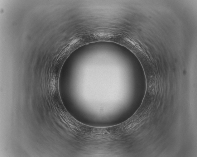 X0000087390866200704201240