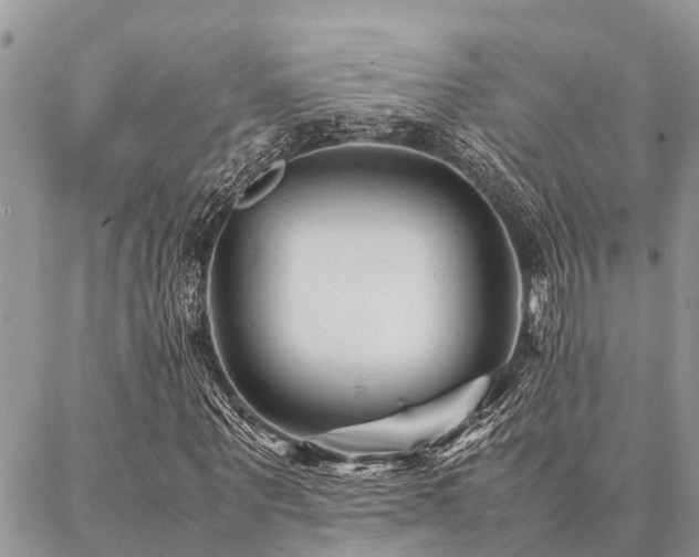 X0000087390867200704201240