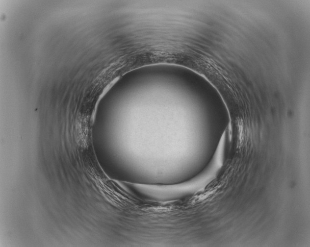 X0000087390868200704201240