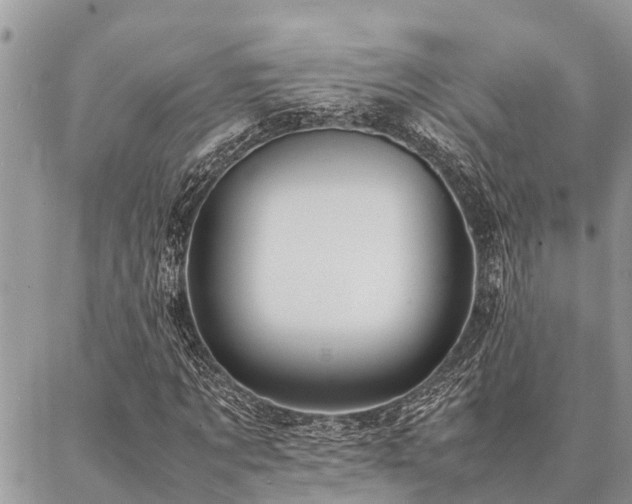 X0000087390869200704201240