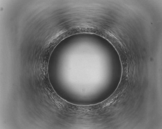 X0000087390870200704201240