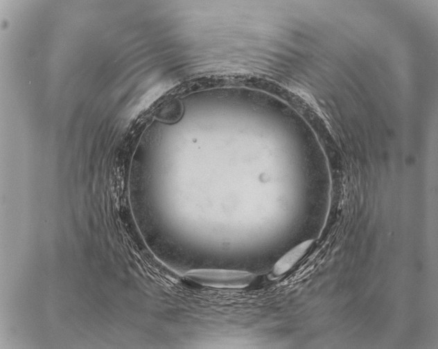 X0000087390871200704201240