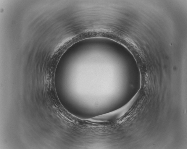 X0000087390872200704201240