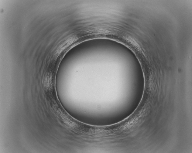 X0000087390873200704201240