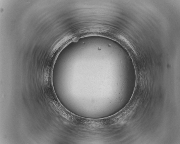 X0000087390874200704201240