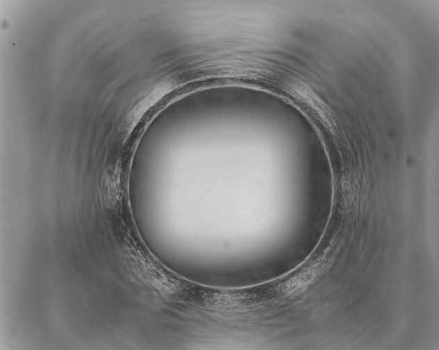 X0000087390875200704201240