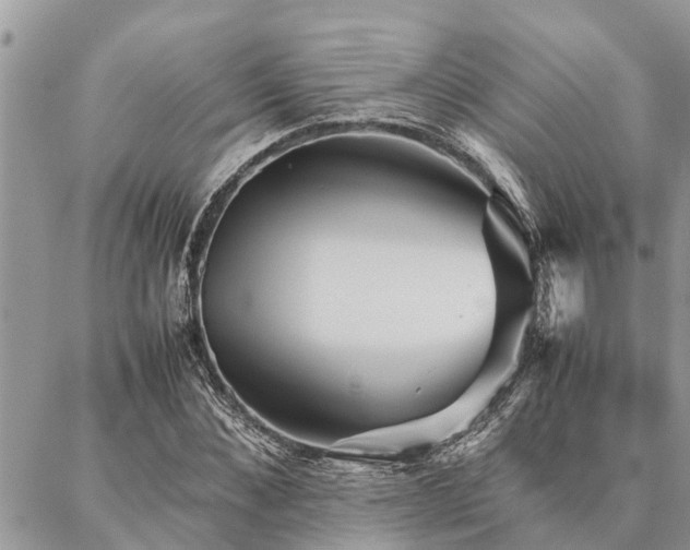 X0000087390876200704201240