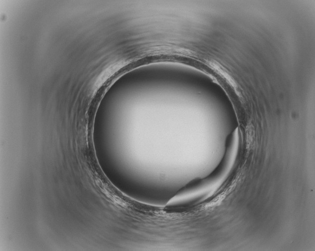 X0000087390877200704201240