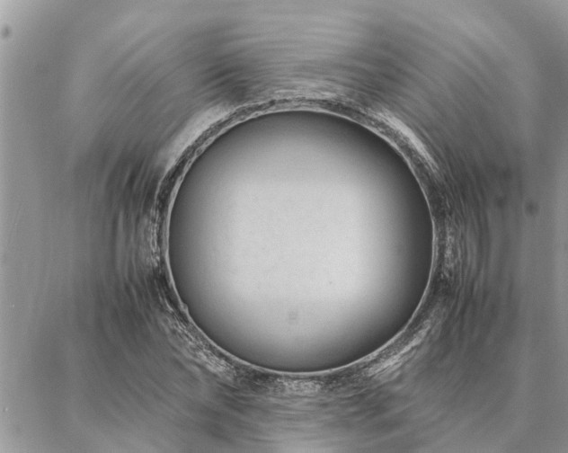 X0000087390878200704201240