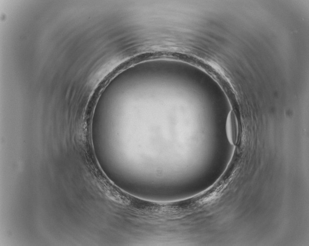 X0000087390879200704201239