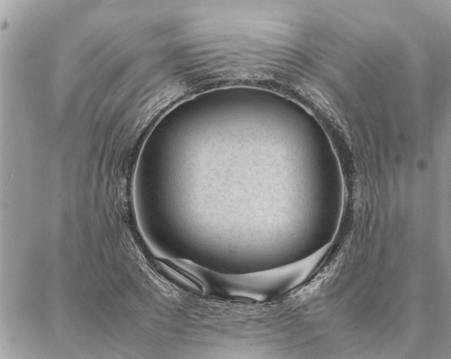 X0000087390881200704201239