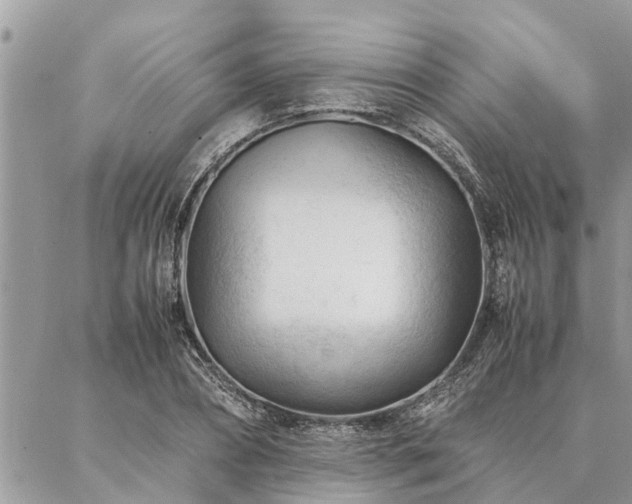 X0000087390882200704201239