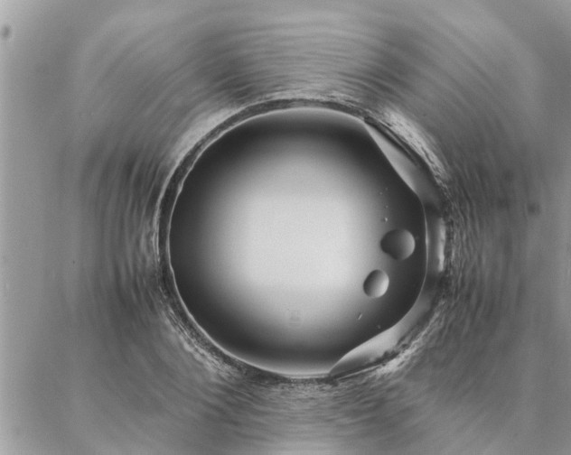 X0000087390884200704201239