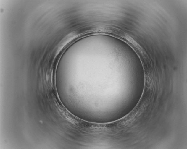 X0000087390886200704201239