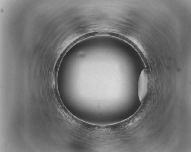 X0000087390887200704201239