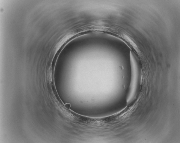 X0000087390891200704201239