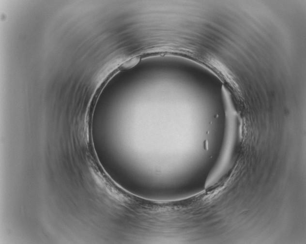 X0000087390892200704201239