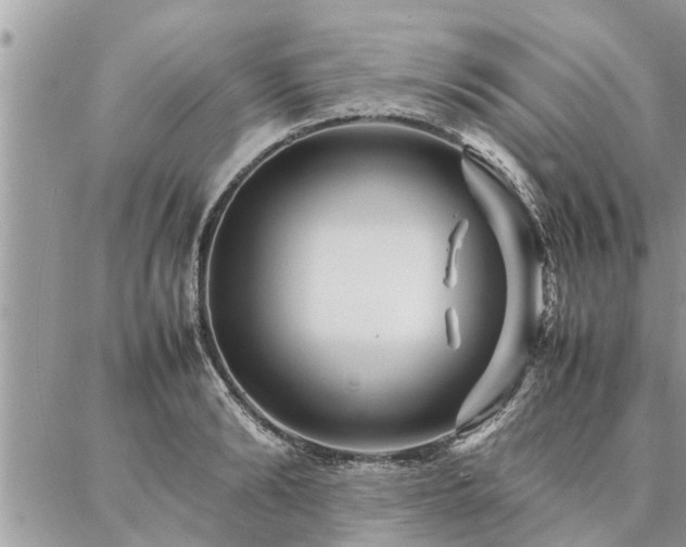 X0000087390894200704201239