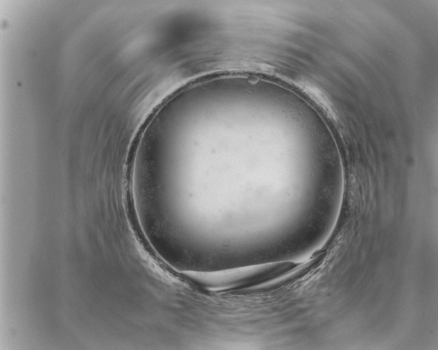 X0000087390895200704201239