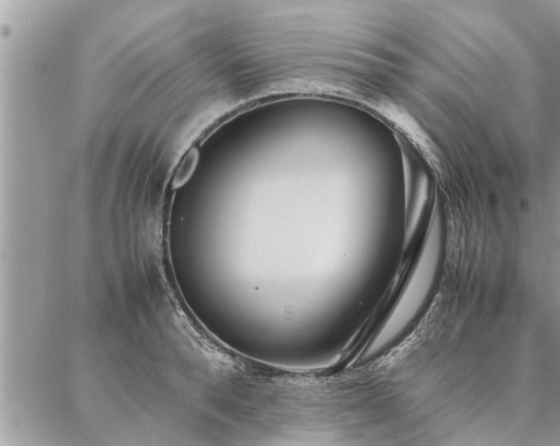 X0000087390896200704201239