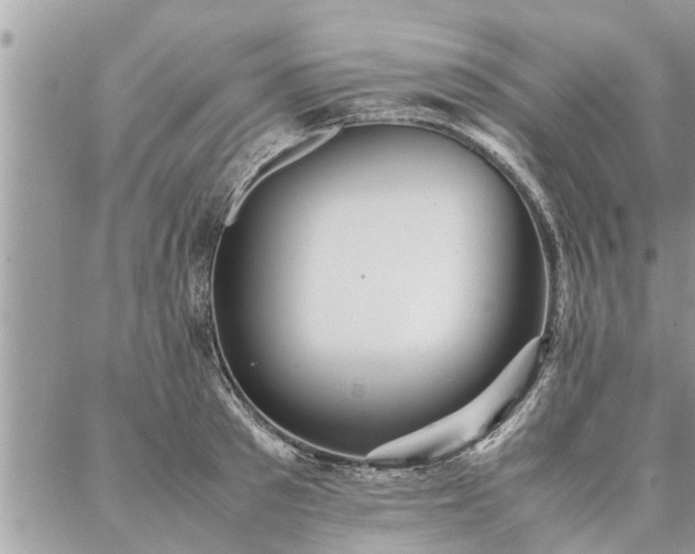 X0000087390897200704201239