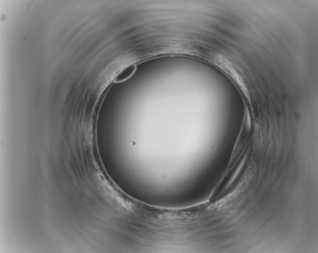 X0000087390898200704201239