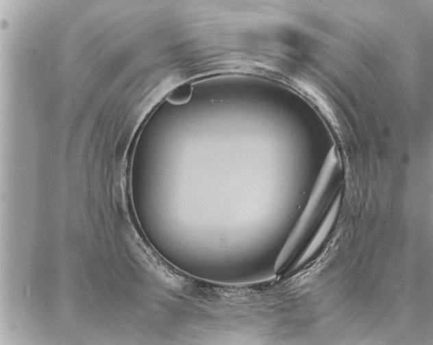 X0000087390899200704201239