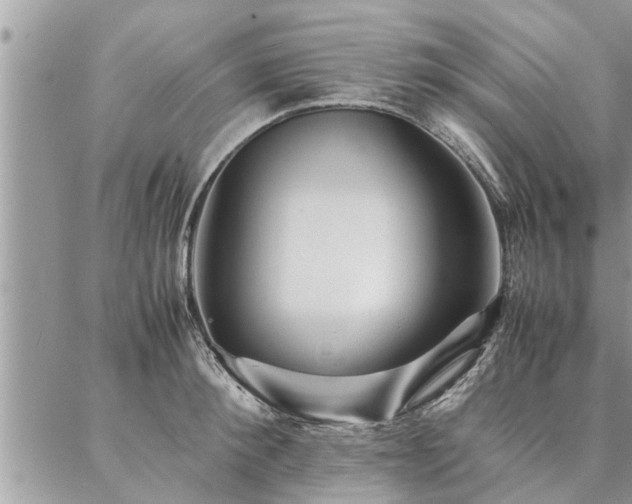 X0000087390900200704201239