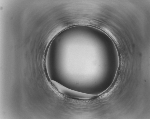 X0000087390901200704201239