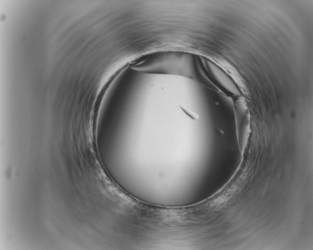 X0000087390904200704201239