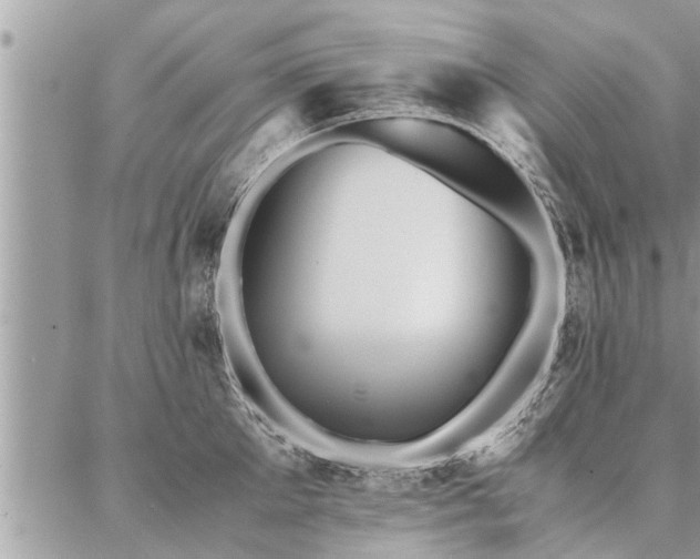 X0000087390905200704201239