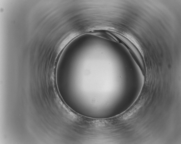 X0000087390906200704201239