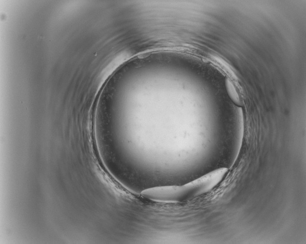 X0000087390907200704201239