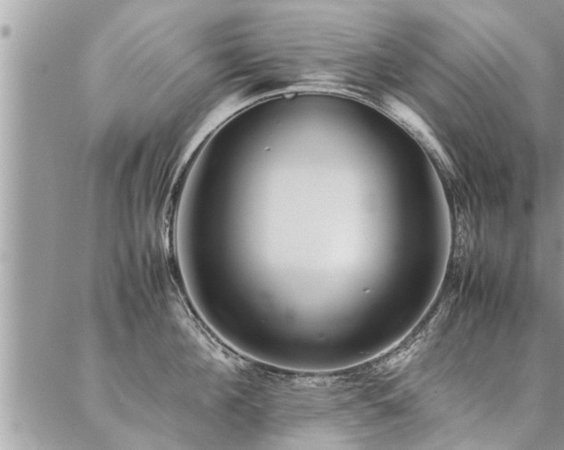 X0000087390908200704201239