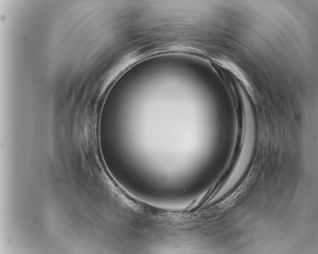 X0000087390910200704201239