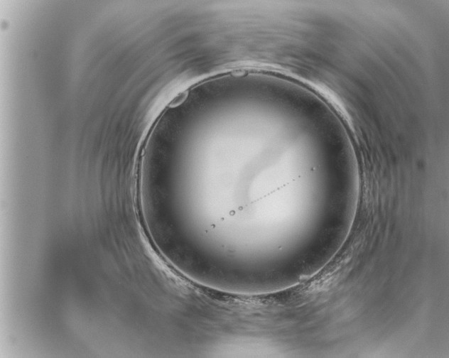 X0000087390911200704201239