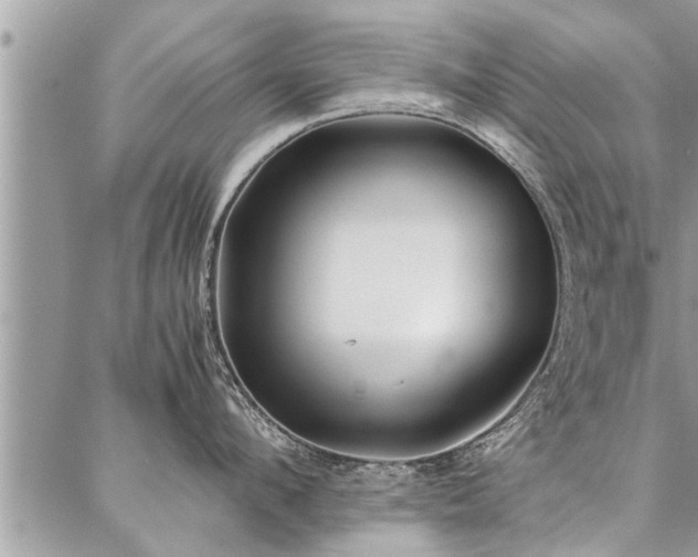 X0000087390912200704201239