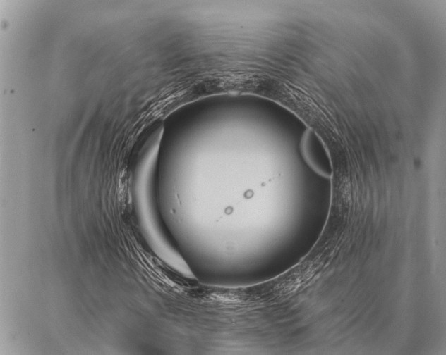 X0000087390914200704201238