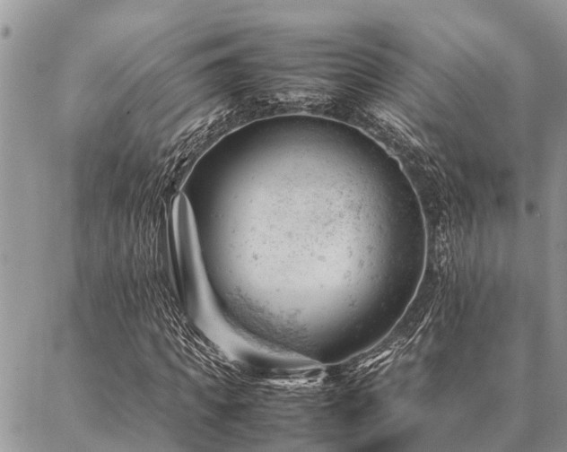 X0000087390917200704201238