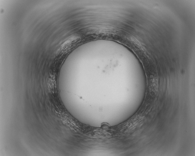 X0000087390918200704201238