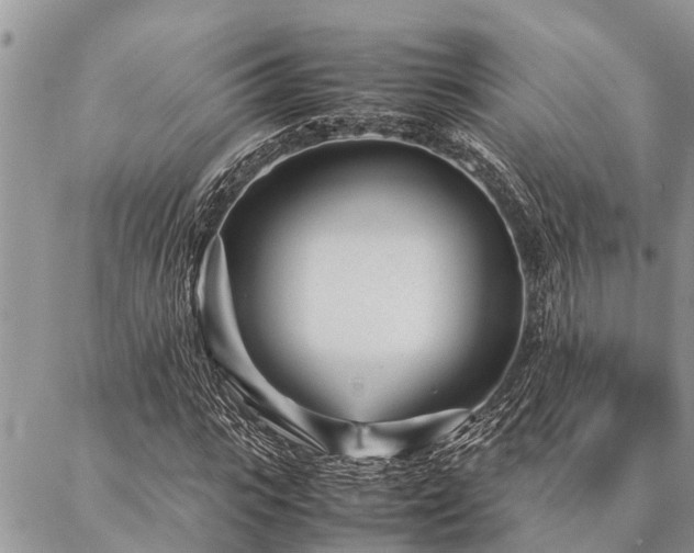 X0000087390919200704201238