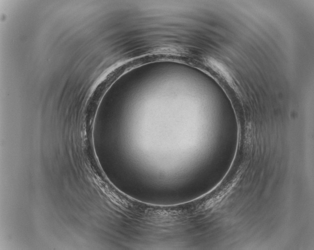 X0000087390923200704201238