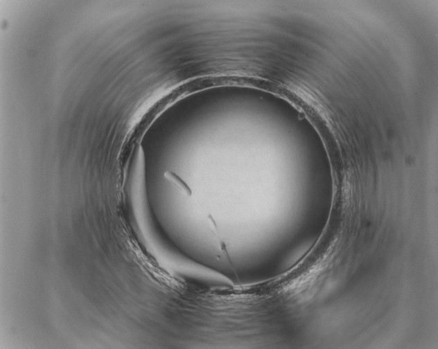 X0000087390925200704201238