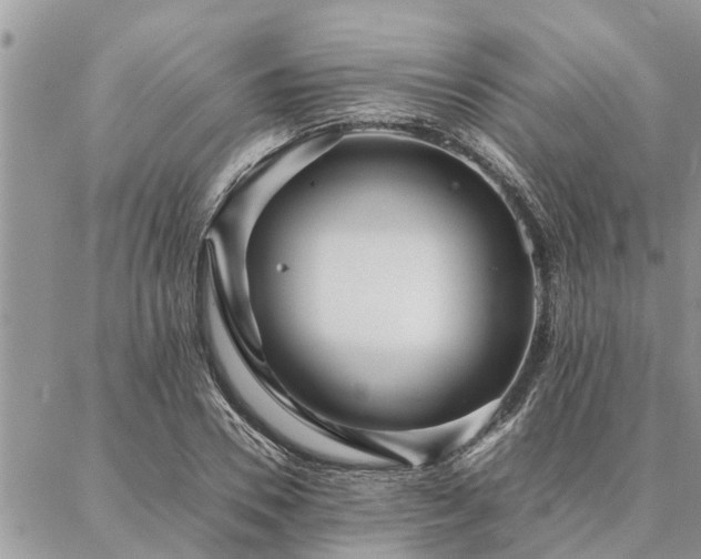 X0000087390930200704201238