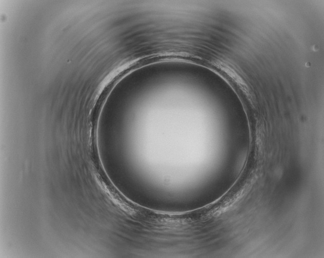 X0000087390933200704201238